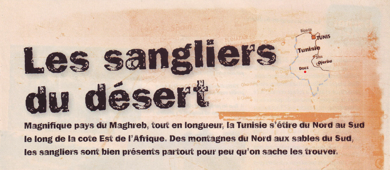 Les Sangliers du Désert