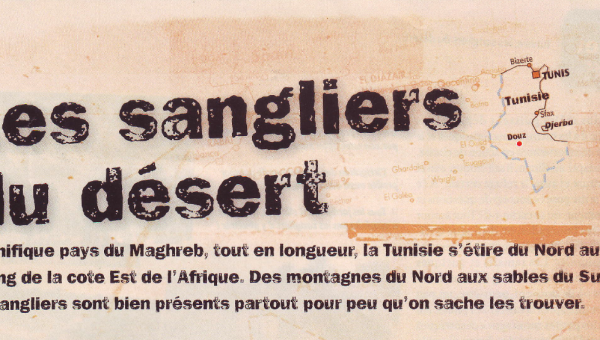Les Sangliers du Désert