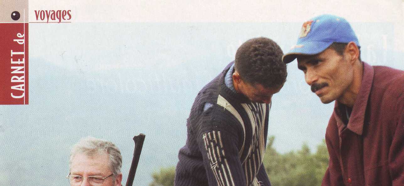 Chasse bécasse sangliers