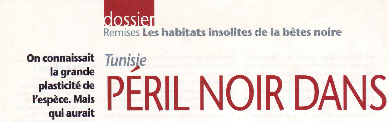 Péril noir dans les dunes