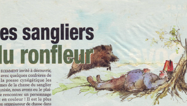 Les sangliers du ronfleur